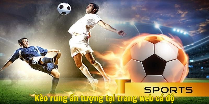 Kèo rung ấn tượng tại trang web cá độ