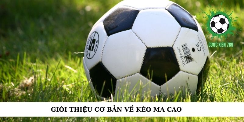 Giới thiệu kèo Ma Cao cơ bản