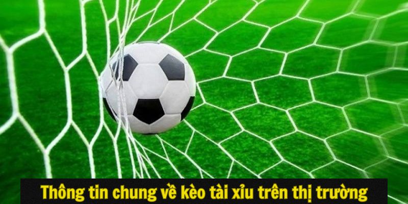 Thông tin chung về kèo tài xỉu trên thị trường