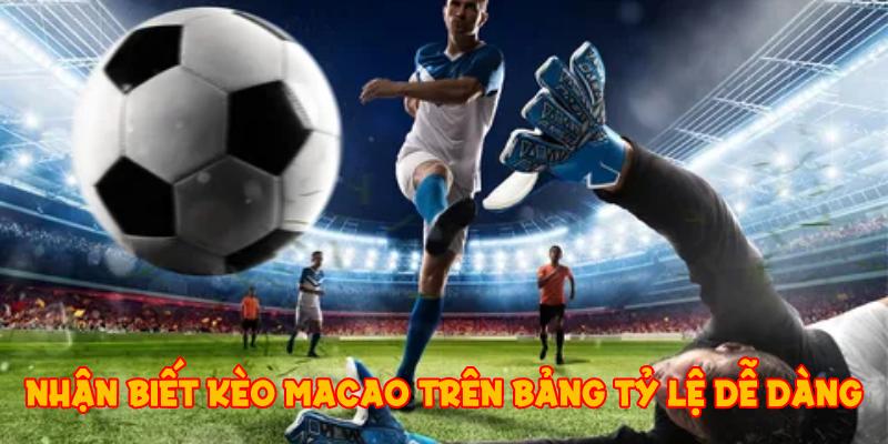 Nhận biết kèo Macao trên bảng tỷ lệ dễ dàng