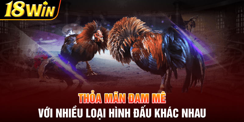 Thỏa mãn đam mê với nhiều loại hình đấu khác nhau